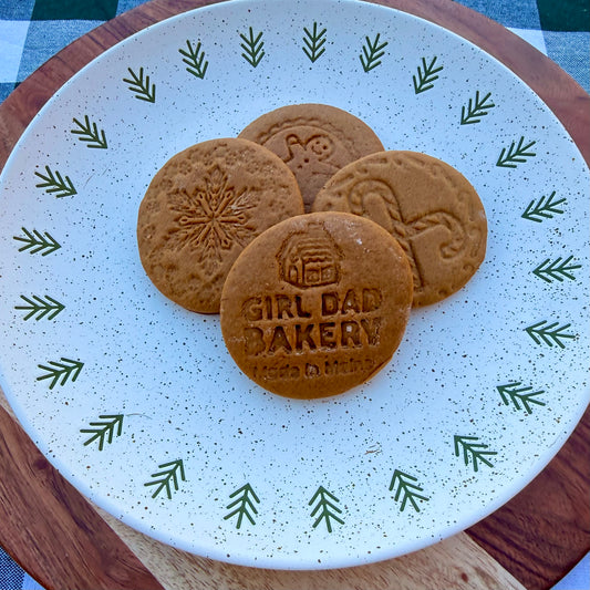 Dark Chocolate Coated Gingerbread - 4 Pack